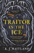 Traitor in the Ice (eBook, ePUB) - Bild 1