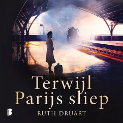 Terwijl Parijs sliep (MP3-Download) - Druart, Ruth