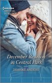 December Reunion in Central Park (eBook, ePUB) December Reunion in Central Park (eBook, ePUB)