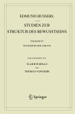 Studien zur Struktur des Bewusstseins (eBook, PDF)