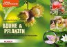 Kleine Waldentdecker: Bäume & Pflanzen - Bild 1