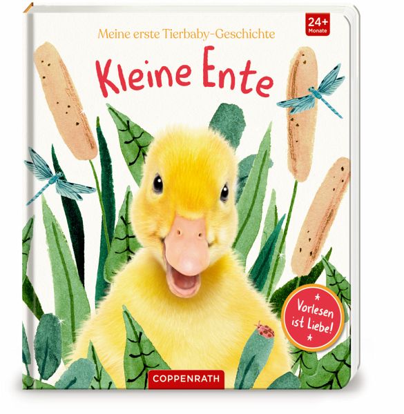 Meine erste Tierbaby-Geschichte: Kleine Ente