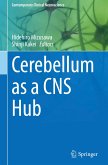 Cerebellum as a CNS Hub