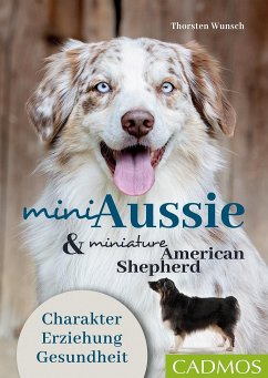 Mini Aussie und Miniature American Shepherd - Wunsch, Thorsten