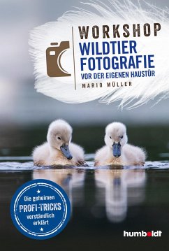 Workshop Wildtierfotografie vor der eigenen Haustür - Müller, Mario