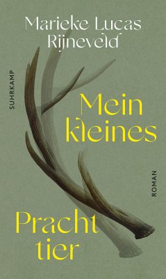 Mein kleines Prachttier (eBook, ePUB) - Rijneveld, Lucas