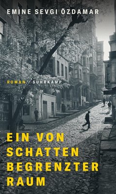 Ein von Schatten begrenzter Raum (eBook, ePUB) - Özdamar, Emine Sevgi