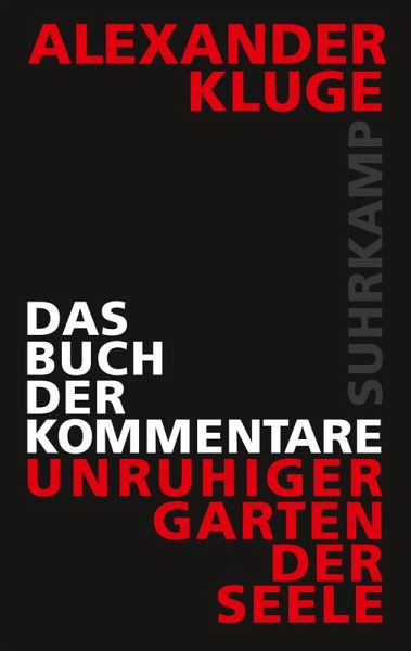 Das Buch der Kommentare (eBook, ePUB)