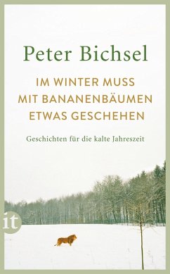Im Winter muss mit Bananenbäumen etwas geschehen (eBook, ePUB) - Bichsel, Peter