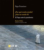 ¿Por qué tenéis miedo? ¿Aún no tenéis fe? (eBook, ePUB) ¿Por qué tenéis miedo? ¿Aún no tenéis fe? (eBook, ePUB)