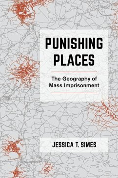 Cover Punishing Places (eBook, ePUB)