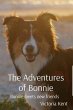 The Adventures of Bonnie (eBook, ePUB) - Bild 1