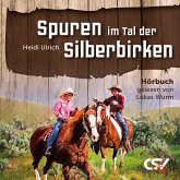 Spuren im Tal der Silberbirken (MP3-Download)