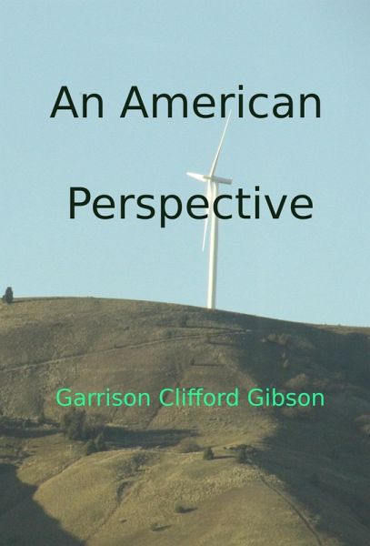 An American Perspective (eBook, ePUB) An American Perspective (eBook, ePUB)