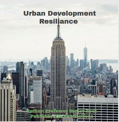 Urban Development Resilience (eBook, ePUB)