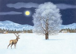 Zauberhafte Winternacht Adventskalender - Müller, Thomas