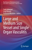 Large and Medium Size Vessel and Single Organ Vasculitis (eBook, PDF)