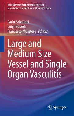 Large and Medium Size Vessel and Single Organ Vasculitis (eBook, PDF)