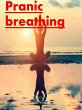 Pranic breathing (eBook, ePUB) - Bild 1