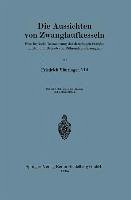 Die Aussichten von Zwanglaufkesseln (eBook, PDF) - Münzinger, Friedrich