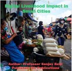 Digital Livelihood Impact in Small Cities (eBook, ePUB)