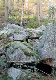 Lempeä kauneus (eBook, ePUB)