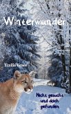 Winterwunder - Nicht gesucht und doch gefunden (eBook, ePUB)