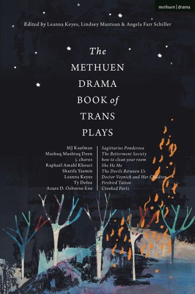 The Methuen Drama Book of Trans Plays (eBook, PDF) The Methuen Drama Book of Trans Plays (eBook, PDF)