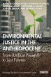 Environmental Justice in the... - Bild 1