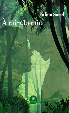 À mi-chemin (eBook, ePUB) - Sorel, Julien