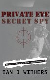 Private Eye Secret Spy