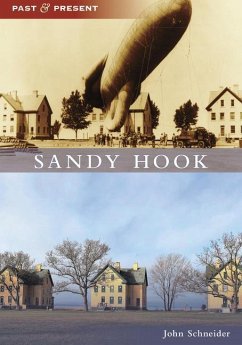 Sandy Hook - Schneider, John