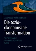 Die sozioökonomische Transformation (eBook, PDF)