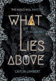 What Lies Above
