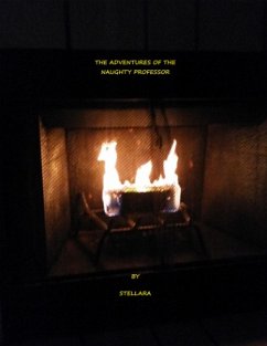 Cover The Adventures of the Naughty Professor (eBook, ePUB)