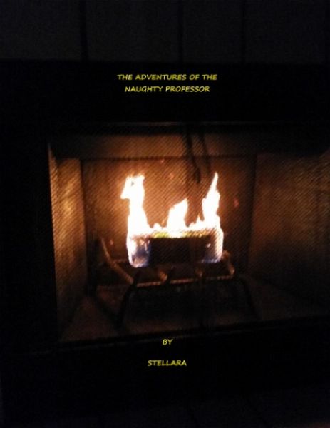 The Adventures of the Naughty Professor (eBook, ePUB)