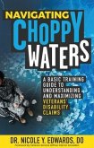 Navigating Choppy Waters (eBook, ePUB)