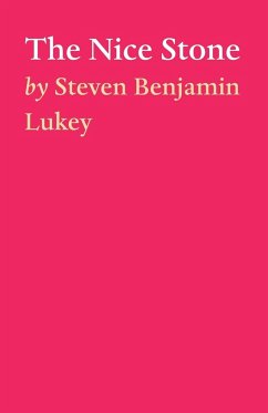 The Nice Stone - Lukey, Steven Benjamin