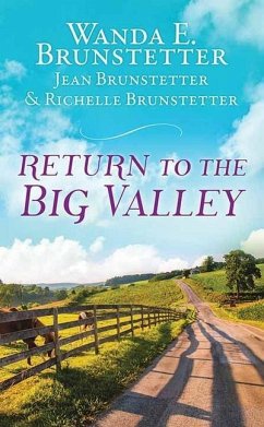 The Return to the Big Valley - Brunstetter, Wanda E.