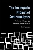 The Incomplete Project of Schizoanalysis