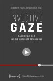 Invective Gaze - Das digitale Bild und die Kultur der Beschämung (eBook, PDF)