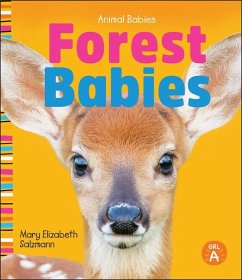 Forest Babies - Salzmann