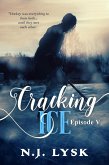 Cracking Ice: Episode 5 (Rules to Break) (eBook, ePUB)