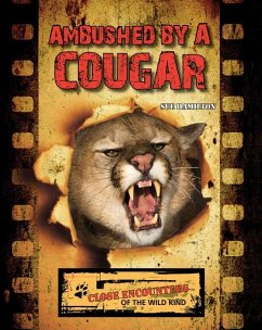 Ambushed by a Cougar - Hamilton