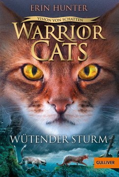 Wütender Sturm / Warrior Cats Staffel 6 Bd.6 - Hunter, Erin