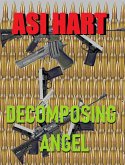 Decomposing Angel (eBook, ePUB) Decomposing Angel (eBook, ePUB)