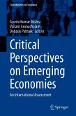 Critical Perspectives on Emerging Economies (eBook, PDF)