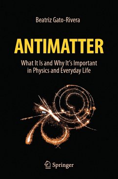 Antimatter (eBook, PDF) - Gato-Rivera, Beatriz