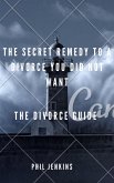 the secrete remedy to a divorce you did not want (eBook, ePUB)