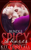 SpicyShorts Bundle (eBook, ePUB)